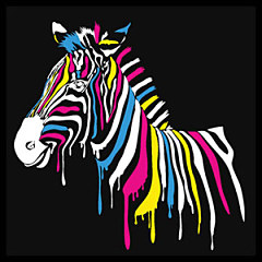 Pop Art Fototapety - Zebra 4536 - latexová
